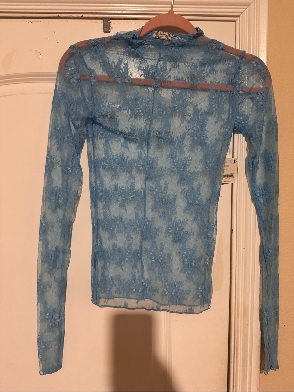 Sheer Light Blue Lace Long-Sleeve Top